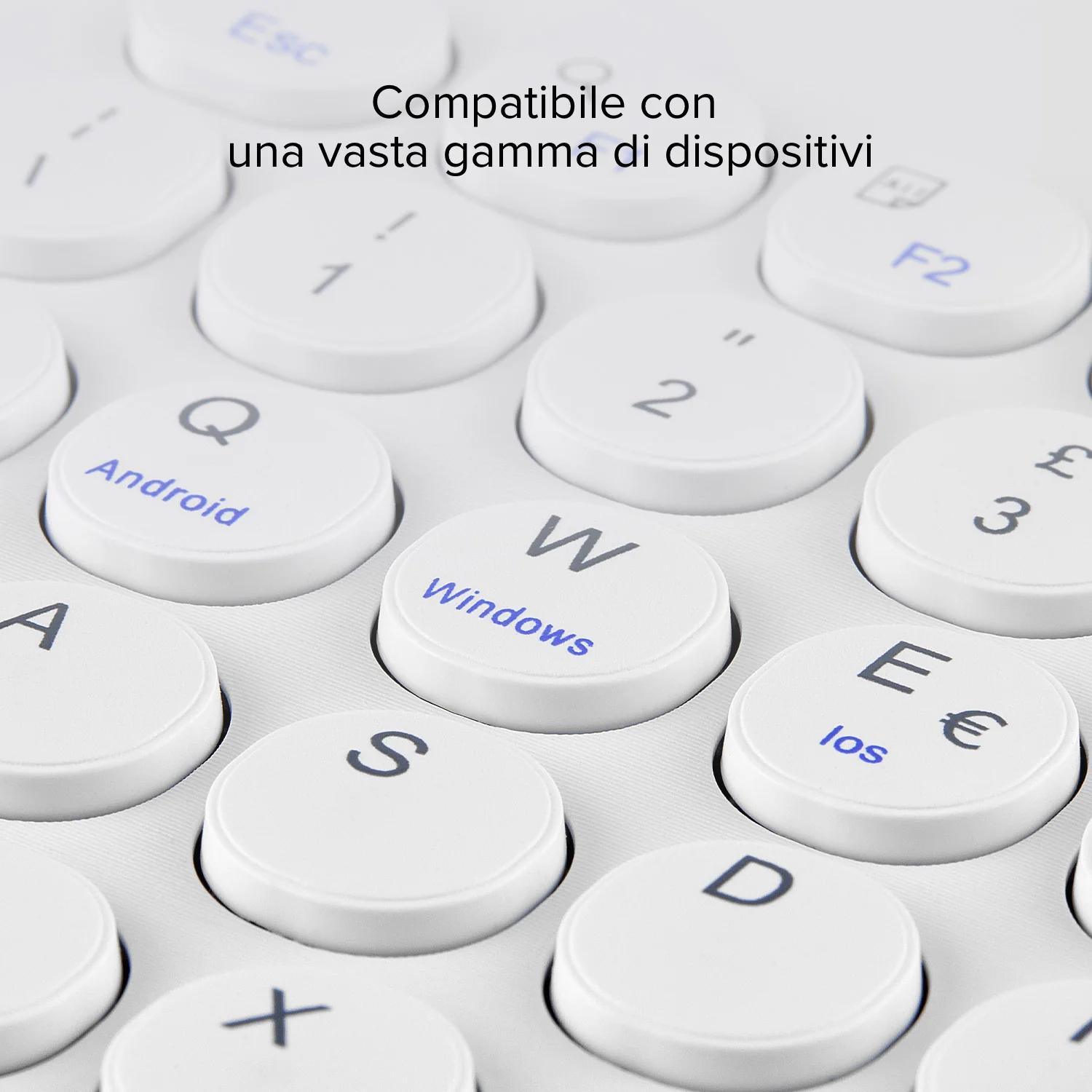 Immagine prodotto 7
